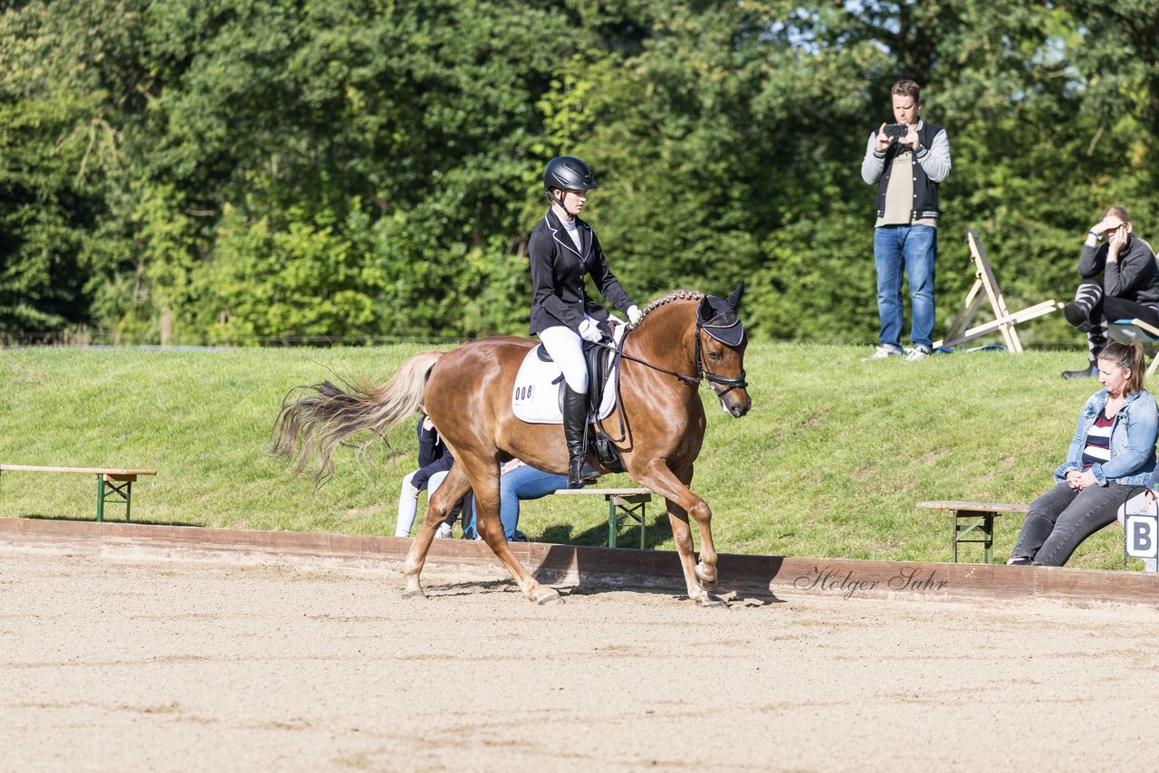 Bild 40 - Pony Akademie Turnier